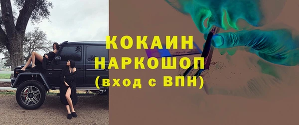 ГАЛЛЮЦИНОГЕННЫЕ ГРИБЫ Арсеньев