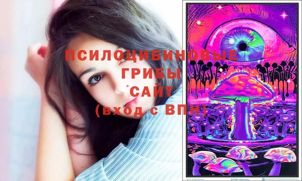 ГАЛЛЮЦИНОГЕННЫЕ ГРИБЫ Арсеньев