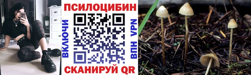 Псилоцибиновые грибы прущие грибы Севск