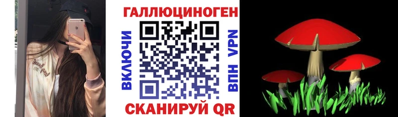 Псилоцибиновые грибы Magic Shrooms  цены наркотик  Севск 